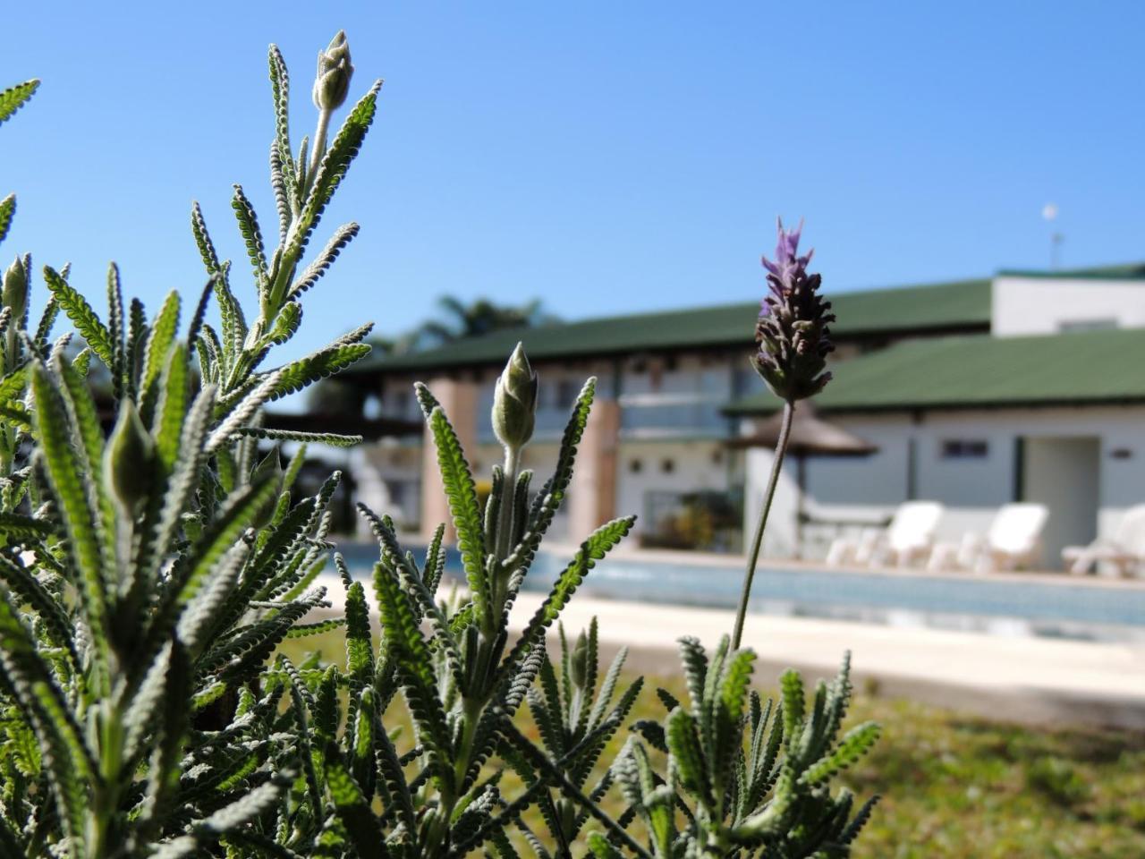 Irupe Apart Hotel Federacion Exterior photo